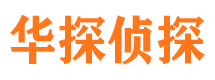 宁河侦探公司